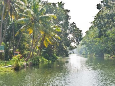 Canals-in-Kerala-Backwaters-qrks4l7ox0b1w1zsk1153wq6ecf8coherzt1cilepk