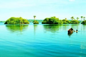 Day-Houseboat-Tour-Sambranikodi-Island-Visit-Kollam-scaled-p7jz7bb5c5h2xb5rmib02f5qmvpfb4o0ju0gj1qi1c
